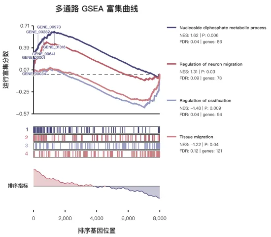 四个合成通路的 GSEA 运行富集曲线、基因命中轨道和统计摘要